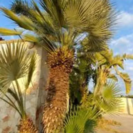 Casetta Con Piscina E Giardino * Lentini